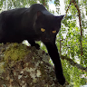 Meet your Posher, Mark